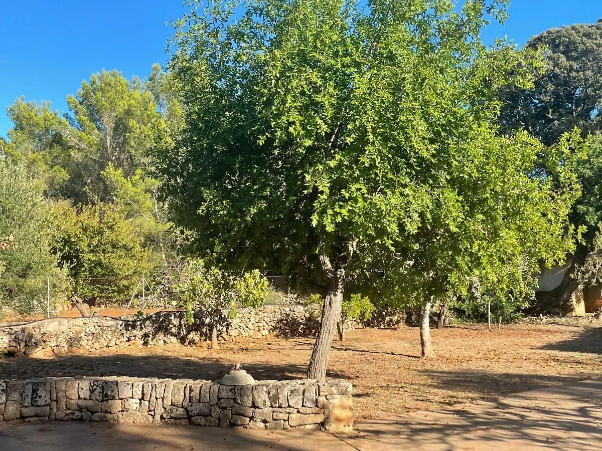 Wunderschoene Finca Alcudia Mit Wlan Und Heizung 0*, Alcudia (Mallorca) Spanien